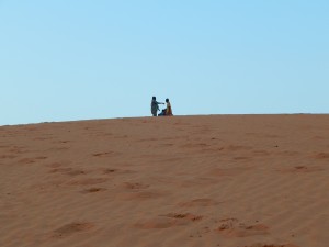 DSCN0800