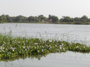 DSCN0940