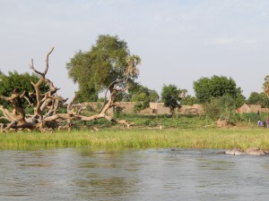 DSCN0983