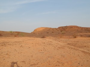 DSCN1018