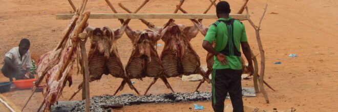 The Day of the Ram